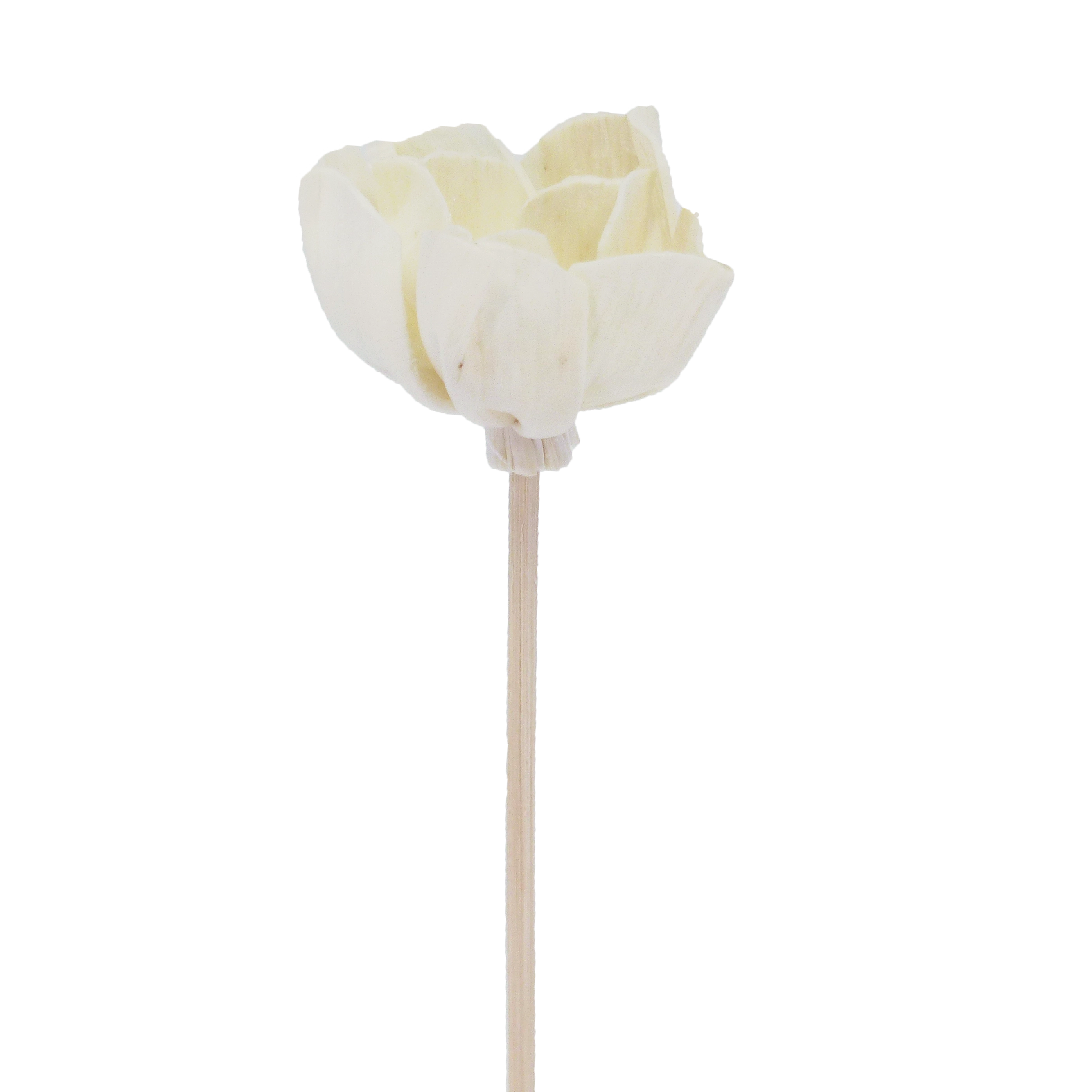 Fleur d'Andromède campanulée - Bâtonnet diffuseur en rotin